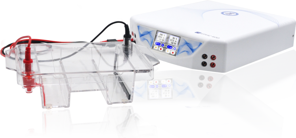 Electroforesis y transferencia