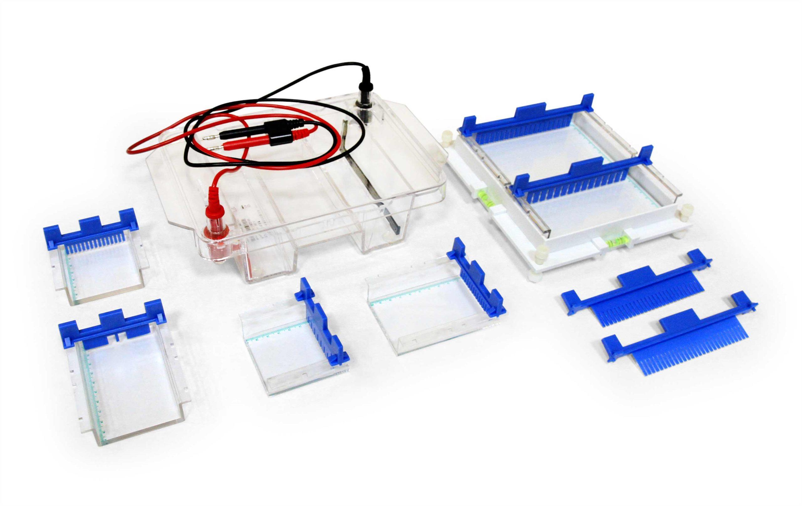 Elektrophoresebehälter