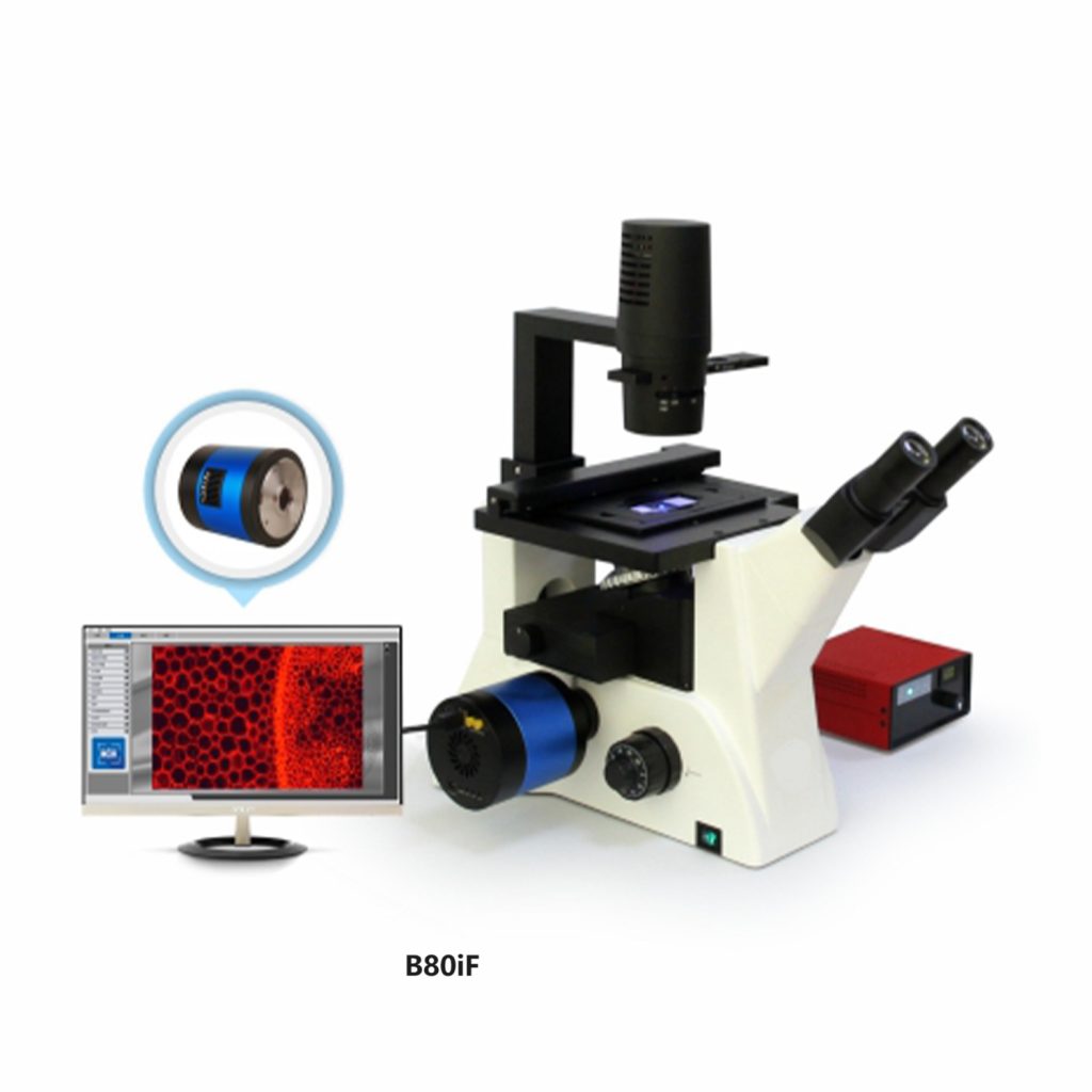 Inverted Biological Microscopes
