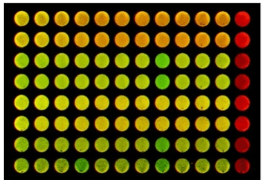 Système d'imagerie multimodal in vivo pour petits animaux