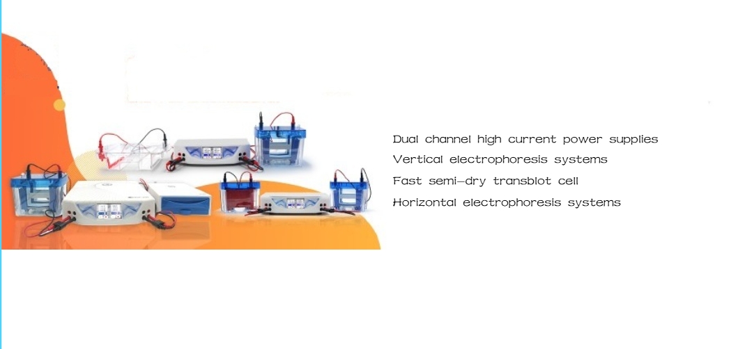 gel electtrophotesis systems